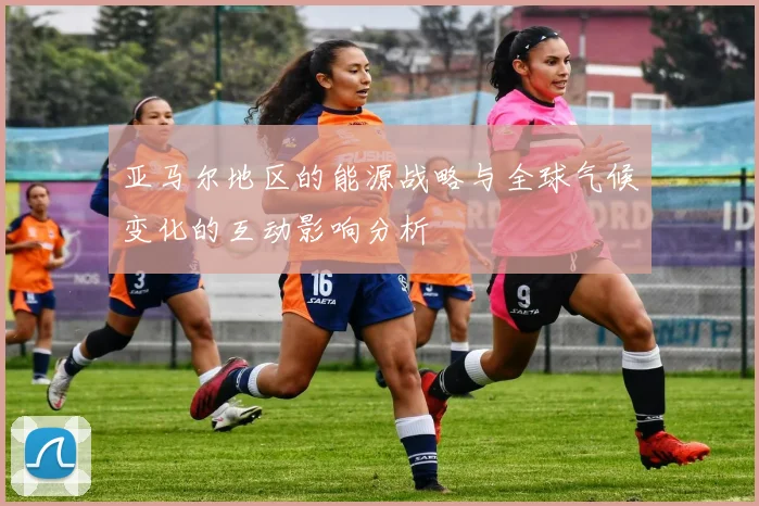 亚马尔地区的能源战略与全球气候变化的互动影响分析