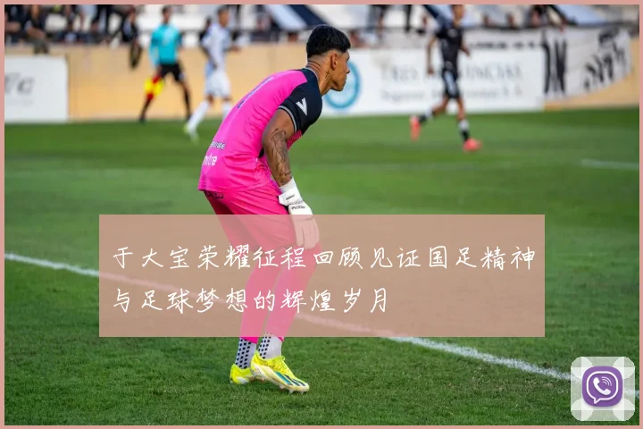 于大宝荣耀征程回顾见证国足精神与足球梦想的辉煌岁月