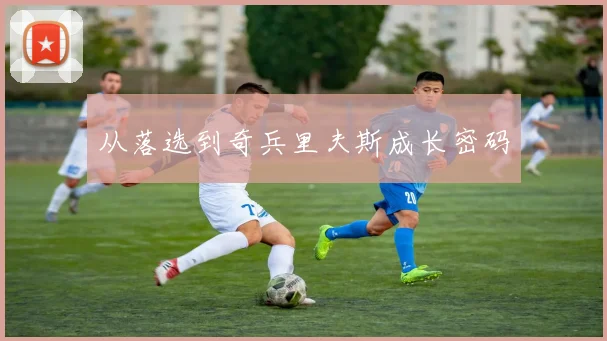 从落选到奇兵里夫斯成长密码